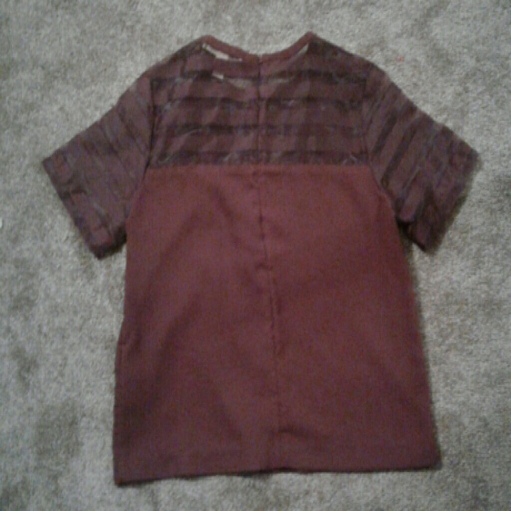 Forever 21 Burgundy Mesh Stripe Short Sleeve Top - Picture 2 of 4